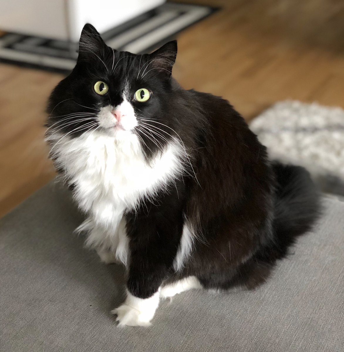 Aaron Gleeman tweet media