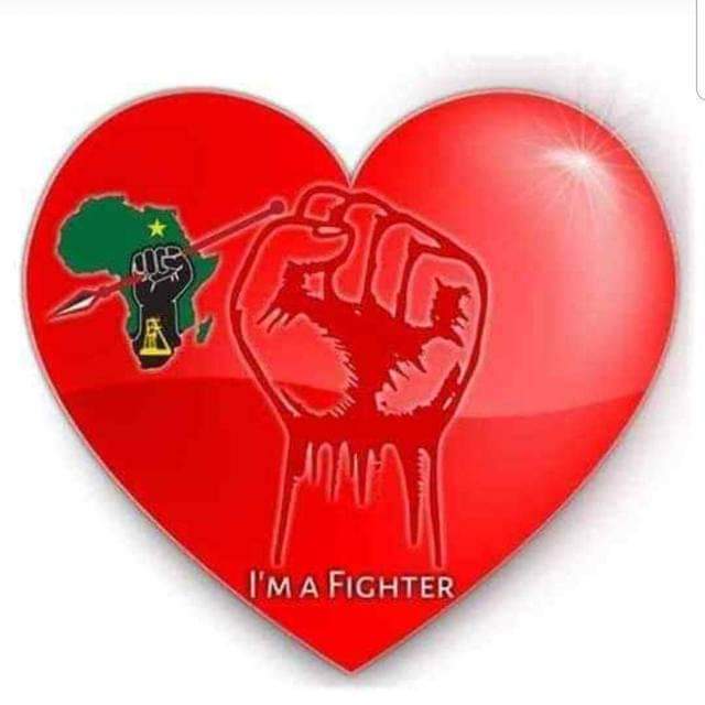 @Julius_S_Malema #FillUpFNBStadium #EFFTurns10