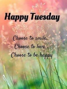 LSW Counseling (@lswcounseling) on Twitter photo 