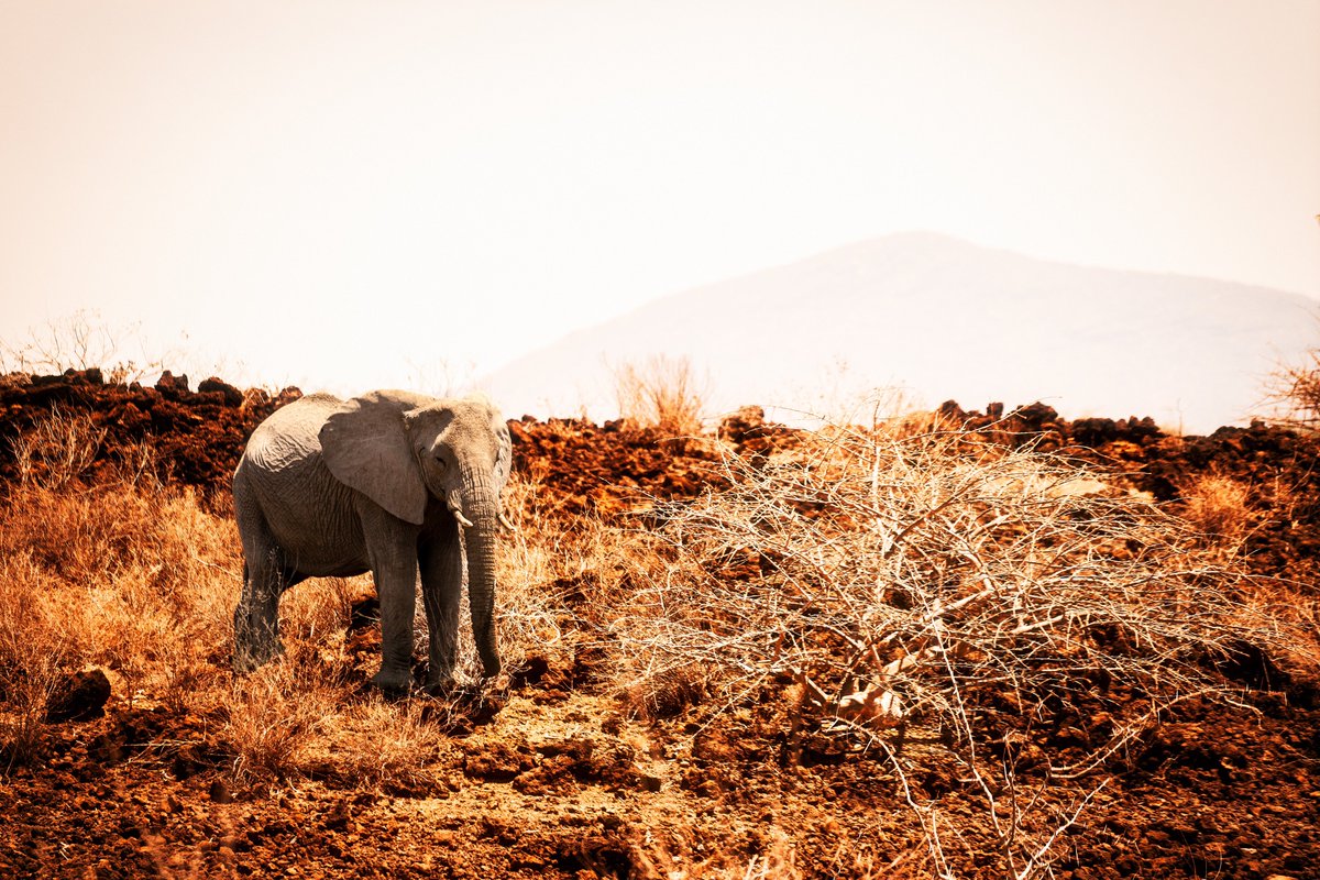 __peterBraxton's tweet image. Imposter syndrome not this year fam. Not this year. No more hoarding my work. I’ll show it all.