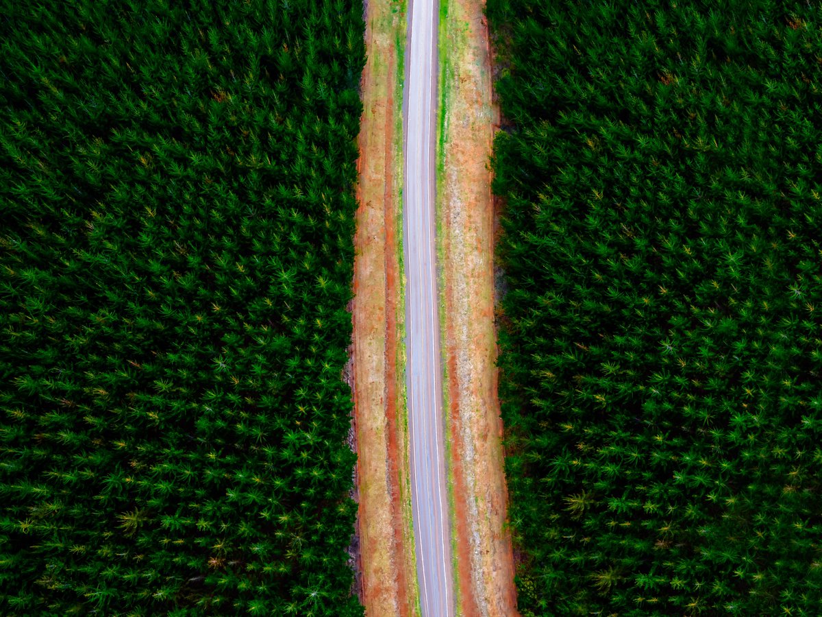 __peterBraxton's tweet image. Imposter syndrome not this year fam. Not this year. No more hoarding my work. I’ll show it all.