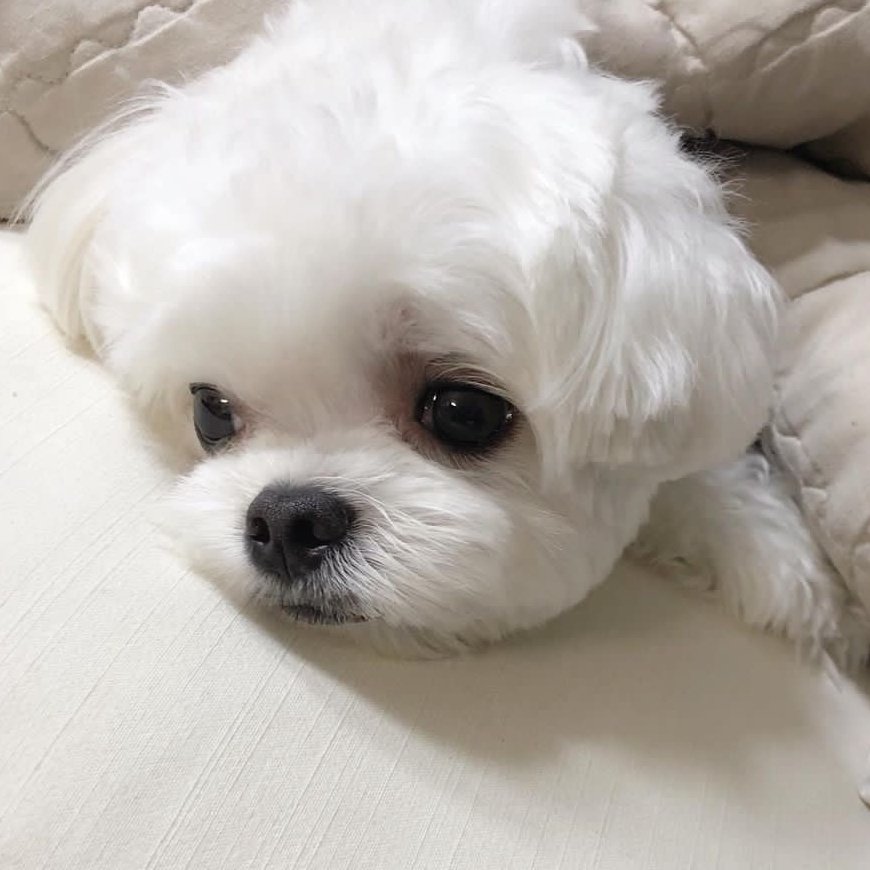 Who made them sad :((