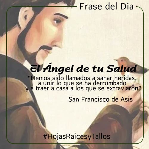 Lavoz_delangel's tweet photo. #FraseDelDía
Todos tenemos una causa 😉🙏
#quotes #quotesoftheday #quotesaboutlife #frasesmotivadoras #HojasRaicesyTallos #FranciscodeAsis https://t.co/hucezJnxqs