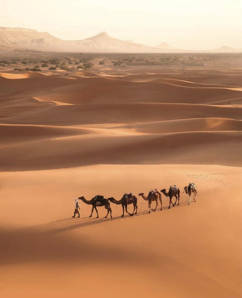 beautiful Arab⁦⁦ tweet media