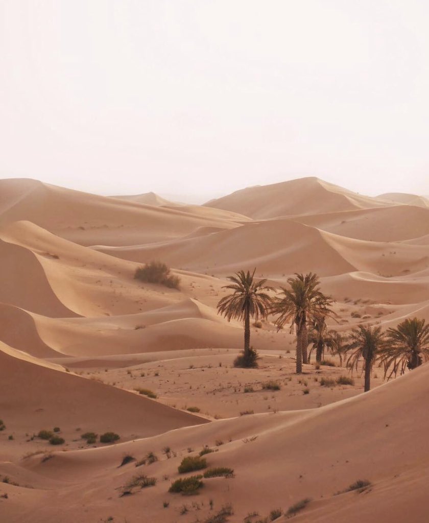 beautiful Arab⁦⁦ tweet media