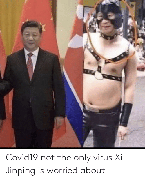 MMA World Cup tweet media