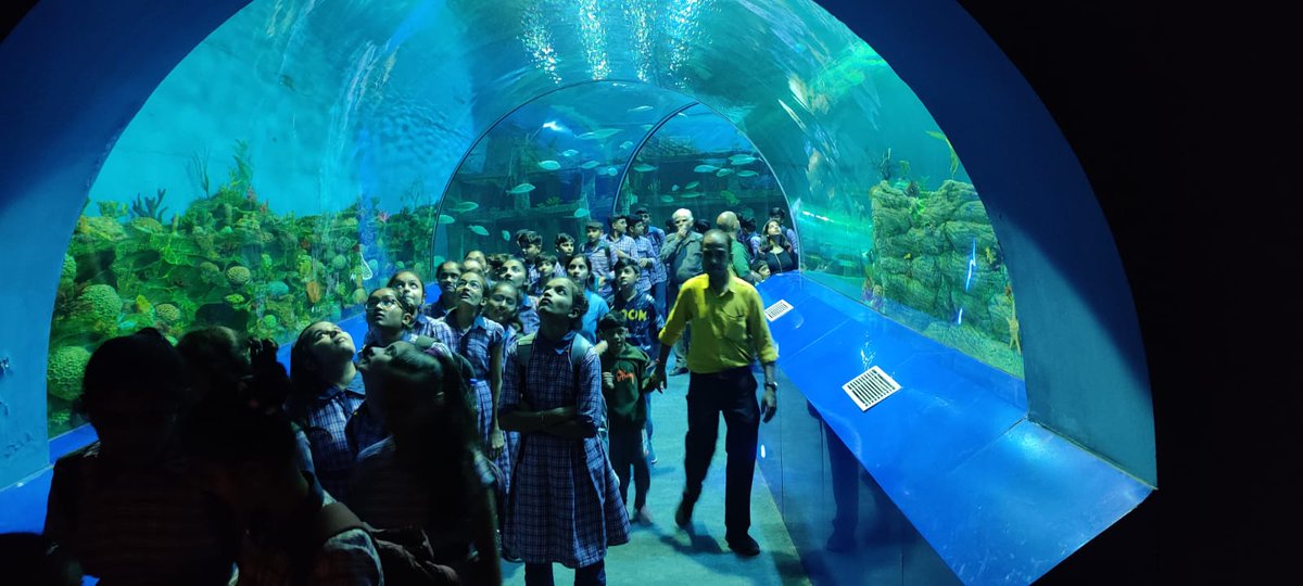 narottamsahoo's tweet photo. Understanding #ecosystem for #health & #wellness is the theme of #30thNCSC.
The theme help #Children to better understand the #environment they live in; develops #analyticalthinking, #problemsolving & #skillsets.
We invite all to #30thNCSC @GujScienceCity during 27-31 Jan 2022. https://t.co/GRePf77qYF