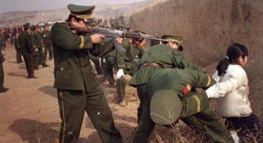 MMA World Cup tweet media