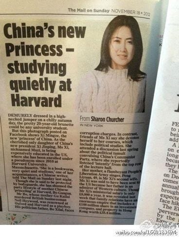 MMA World Cup tweet media