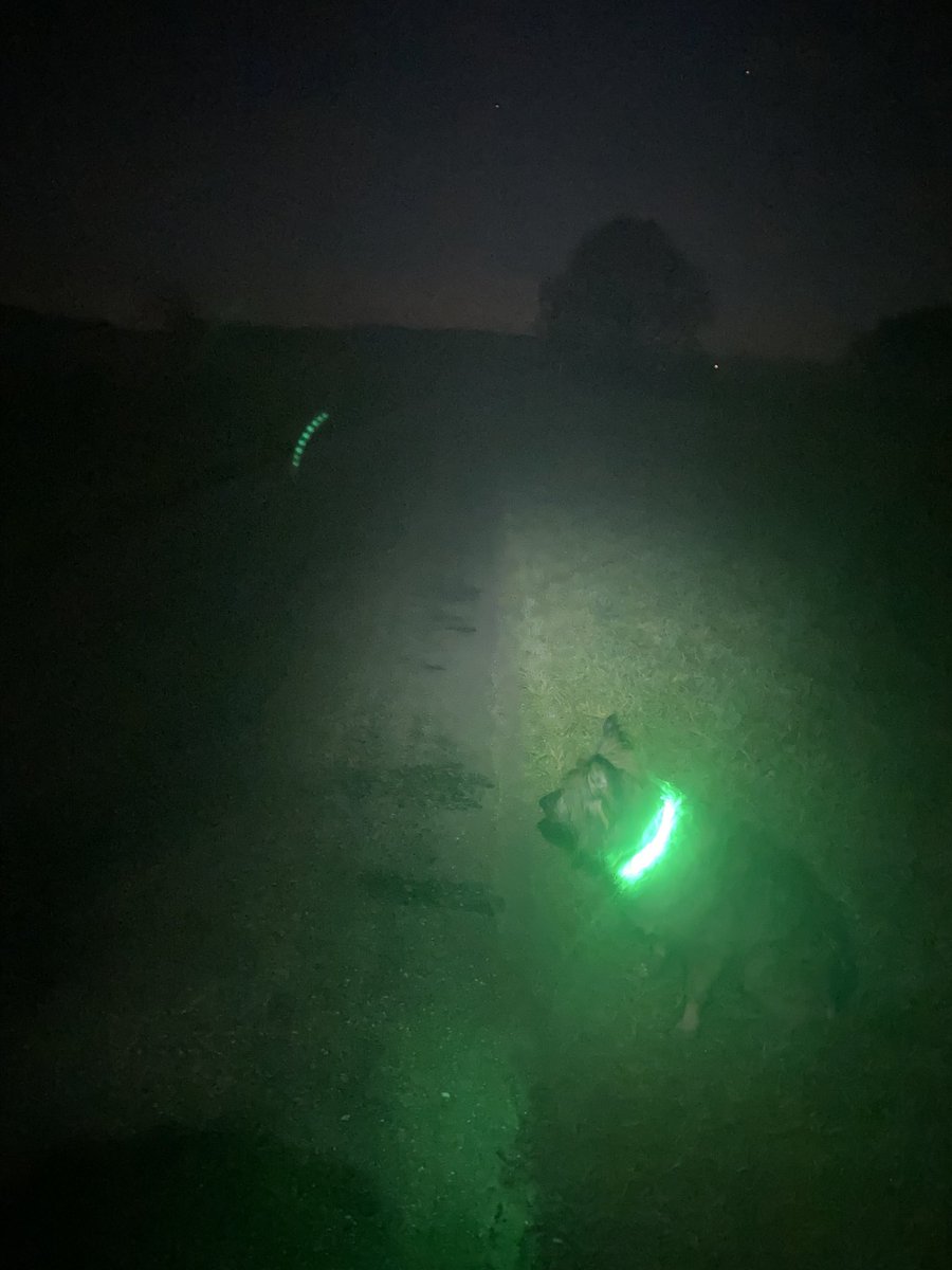 Soweit die Nachrichten. 
Und nun zum Wetter:
In den frühen Abendstunden ist mit örtlich auftretenden Feldern von Trötennebel zu rechnen. Prüfen Sie ihre Landebahnbefeuerung und halten Sie Ihre Hirnbirn betriebsbereit.
Vielen Dank für Ihre Aufdringlichkeit