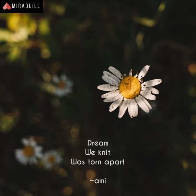 miraquillapp's tweet photo. Like | Comment | Share 🌸
Posted by: cutie_hedgehog on @miraquillapp
Tags :
#miraquill
#mirakee
#writersnetwork
#writerscommunity
#upliftingart
#poemoftheday
#poetrysociety
#poemporn
#poet
#instapoet
#poemsofinstagram
#poetrygram
#poetryt… https://t.co/LYdvdH5GkD https://t.co/YJoRRUzzC3