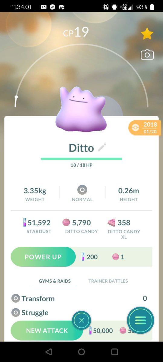 captainShuckle's tweet photo. @brandontan91 This originally was a level 1 Pidgey. I could search it using Pidgey, ditto, or "evolve". I powered it up once using Pidgey candy, and it had a broken evolve button that showed a Pidgeotto. After a series of updates, all that's left of the glitch is the new attack button. https://t.co/PEEU7DrAvh