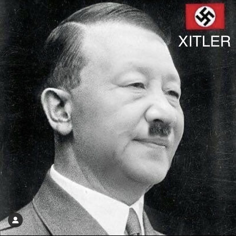 MMA World Cup tweet media