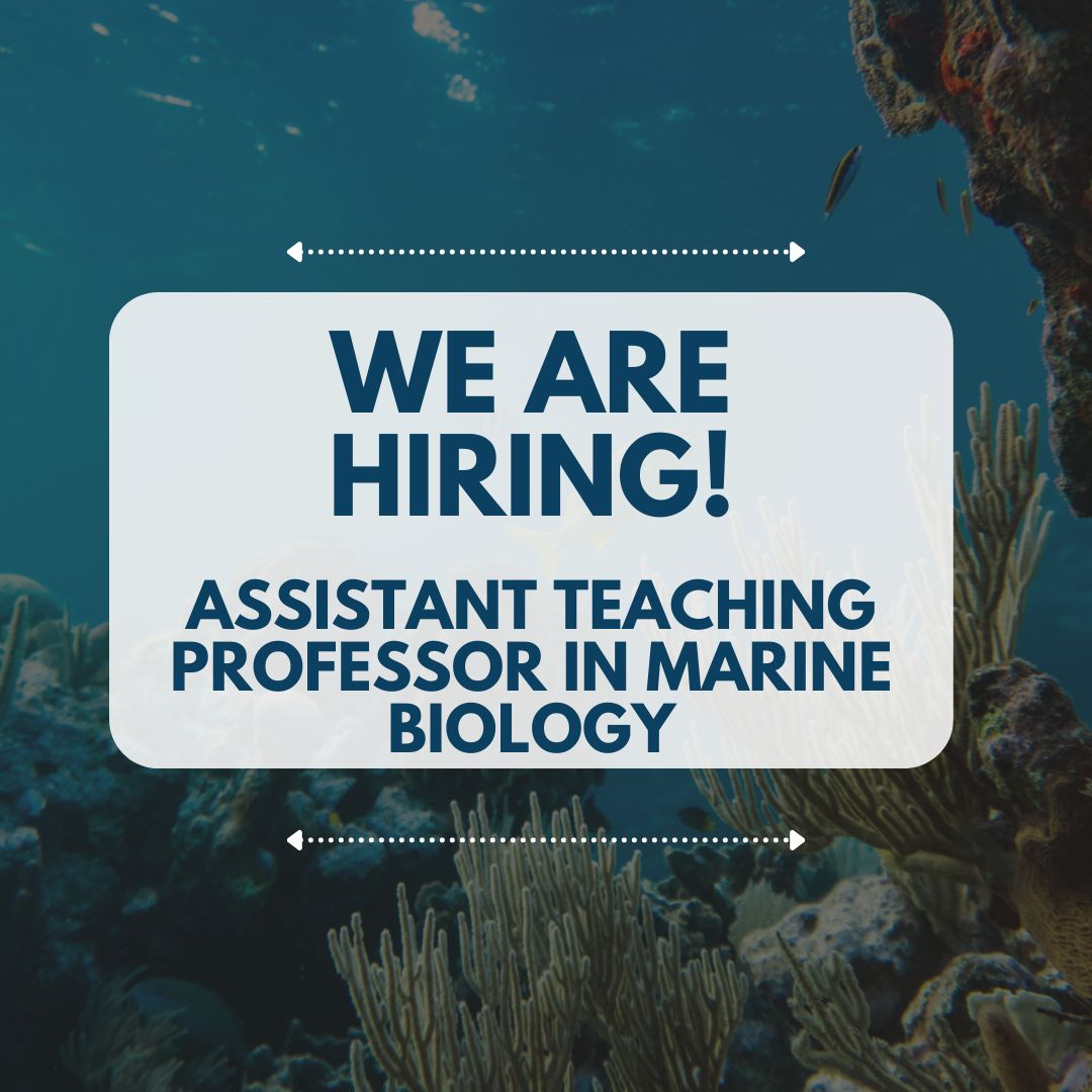 UW SAFS (@uw_safs) on Twitter photo 🐋Want to #teach as part of <a href="/UW/">University of Washington</a>'s #marinescience program?
🪸We're hiring for an Assistant or Associate Teaching Professor position in <a href="/MarineBiologyUW/">Marine Biology</a>, based at <a href="/MarineBiol_FHL/">Friday Harbor Labs</a>.
↪️Interested? Find out more & apply here
fish.uw.edu/2023/01/we-are…
#wearehiring #jobs 🐋Want to #teach as part of <a href="/UW/">University of Washington</a>'s #marinescience program?
🪸We're hiring for an Assistant or Associate Teaching Professor position in <a href="/MarineBiologyUW/">Marine Biology</a>, based at <a href="/MarineBiol_FHL/">Friday Harbor Labs</a>.
↪️Interested? Find out more & apply here
fish.uw.edu/2023/01/we-are…
#wearehiring #jobs