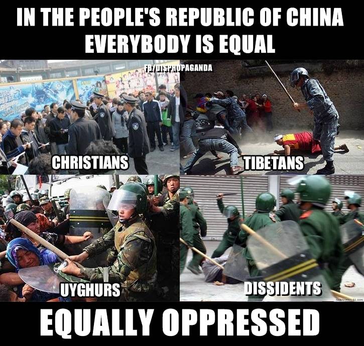 MMA World Cup tweet media