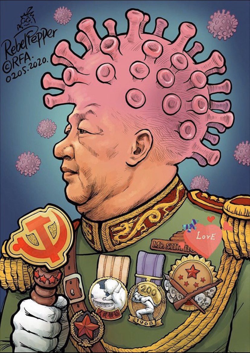 MMA World Cup tweet media