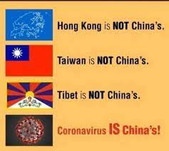 MMA World Cup tweet media