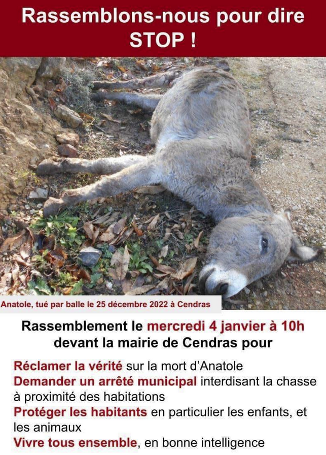 ChasseAbolition's tweet photo. Les propriétaires de l'âne Anatole tué le 25/12 organisent un rassemblement à #Cendras (30), mercredi 4 janvier à 10h devant la mairie.

https://t.co/RKOdbTGAuu https://t.co/aPseTHYJjP