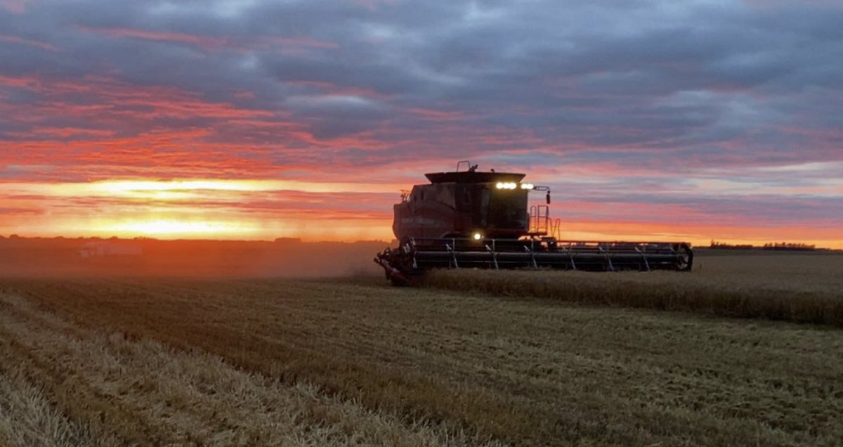 Brad Schemenauer tweet media