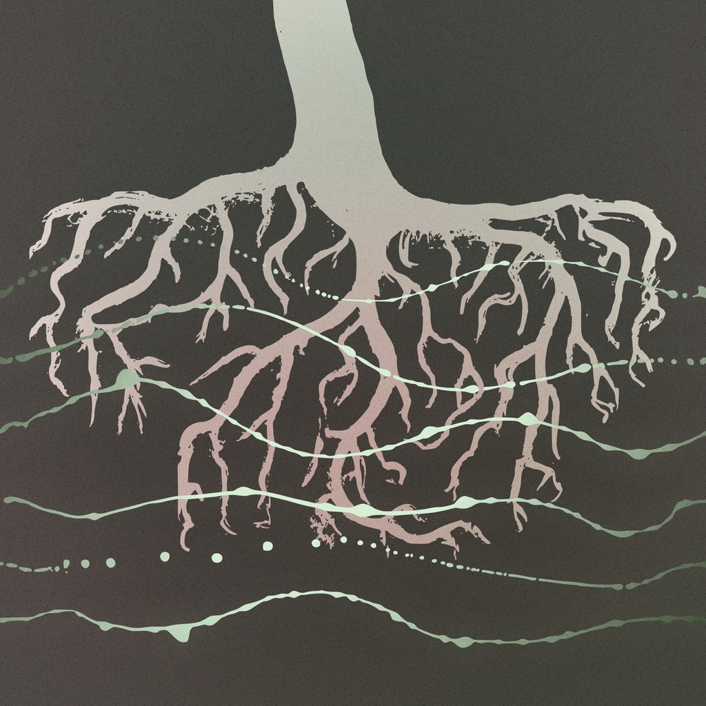 🌱 Value Spotlight: Systemic Change 🌱
We believe that in order to create real, lasting progress, it is essential to address issues at their root rather than addressing symptoms.
Start the year off right by making a donation to a cause you believe in &amp; join us in the movement 💪