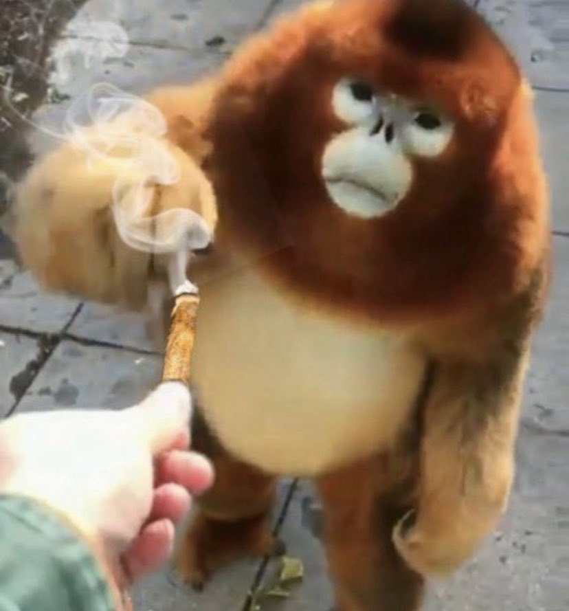 Getting my chimchar to light my blunt