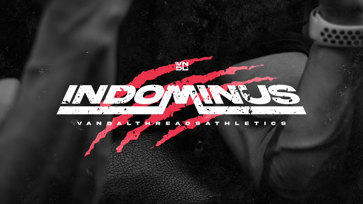 VandalThreads's tweet photo. We hope everyone had a great New Year!!🎇
we're here to start things off with a bang. Introducing "Indominus" our first line of fitness clothing under VandalThreads Athletics.💪
Coming soon 6-9th Jan.🗓️
#IndominusVT | #ThreadsGG https://t.co/RUdJWSXhf5