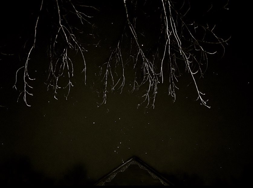 #night #stars #trees #darkness #walkalone #myview #hobbyphotography