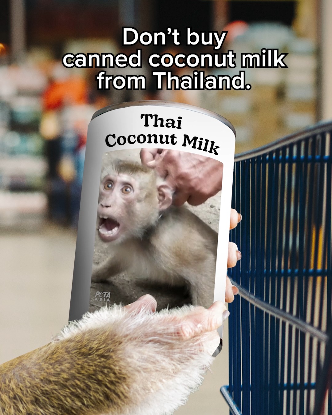 PETA on Twitter: PETA on Twitter: