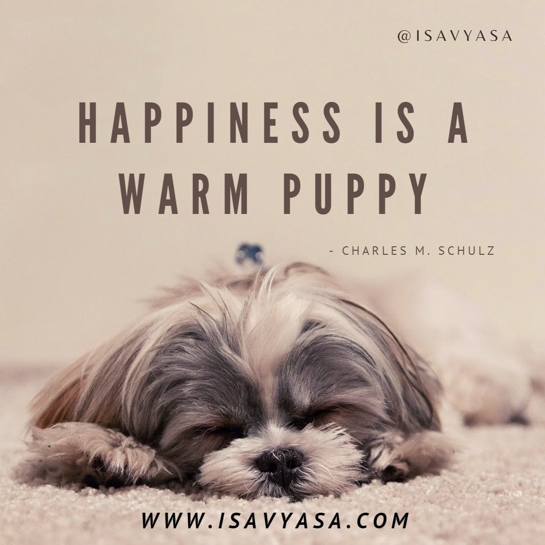 Do you have your puppy? ready to cuddle ?

Post YES if you have in comments!

#isavyasawellness #findingyourjoy #coaching
#lifecoach #mindset #goals #success #happiness #wellbeing #happinesscoach #joycoach #mindfulness #happinessquotes #wellness  #enjoy #puppylove #dogpic #quotes