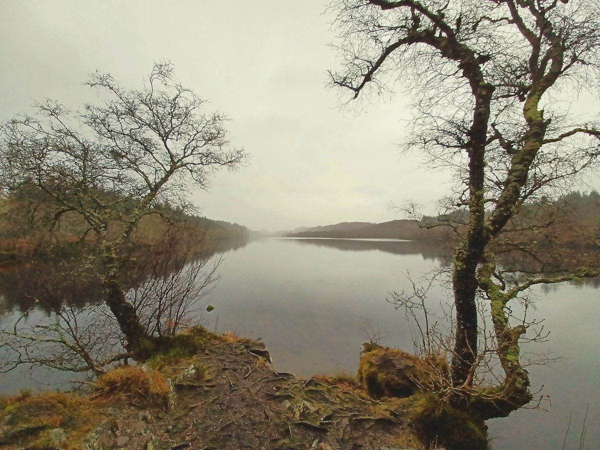 davjaminn's tweet photo. Walk around Loch Coille-Bharr in Argyll today.

#Argyll #getoutside #MotherNature #outdoors #forest #Scotland https://t.co/8VzAjDONsg