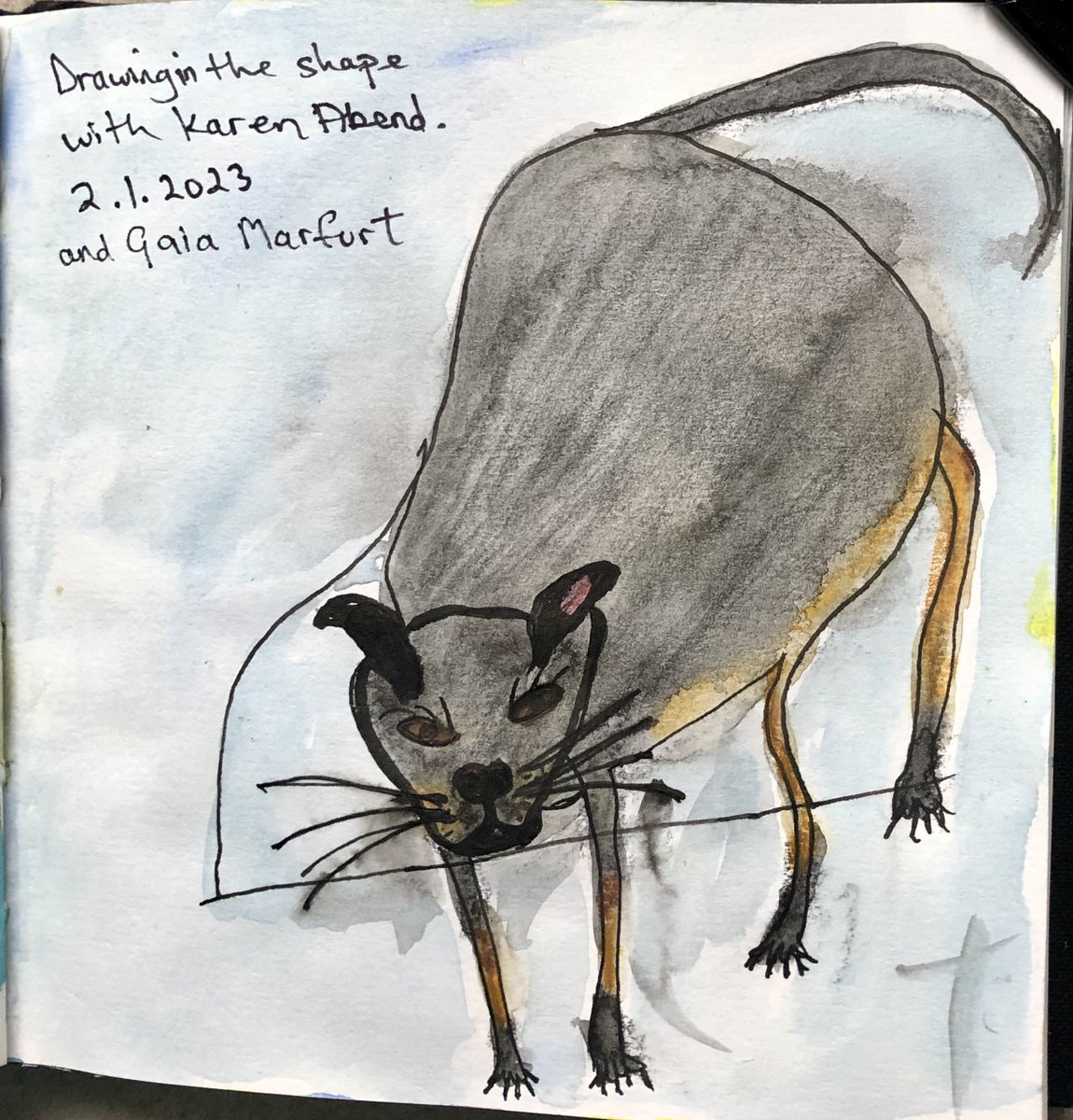 janpot1's tweet image. #happynewyear #sketchingchallenge #karenabend #gaiamarfurt two of these began with a shape which you had to interpret in any way.