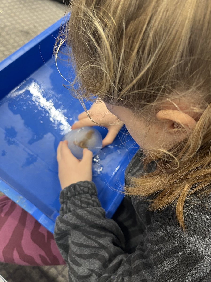 LakesideYork's tweet photo. Team Elm enjoyed our explorers day today. We learned about different Arctic animals, used our detective skills to identify which Arctic animals were hiding in the ice, and then had a go at creating a Polar Bear collage. We had a brilliant first day back! #LakeArt #Arcticexplorers https://t.co/5YhgY62ovi