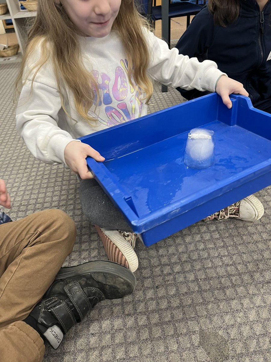 LakesideYork's tweet photo. Team Elm enjoyed our explorers day today. We learned about different Arctic animals, used our detective skills to identify which Arctic animals were hiding in the ice, and then had a go at creating a Polar Bear collage. We had a brilliant first day back! #LakeArt #Arcticexplorers https://t.co/5YhgY62ovi