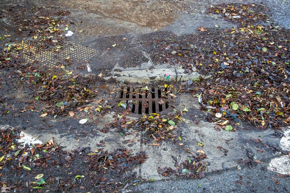 MySFPUC's tweet photo. We have a slight pause between the storm ahead of the rain on our way tomorrow. 🌧️ Check on storm drains in your neighborhood and safely clear any trash or debris. If you see a badly clogged drain, please contact @SF311 immediately. https://t.co/358mVHZIqS https://t.co/AFAjX3paFH