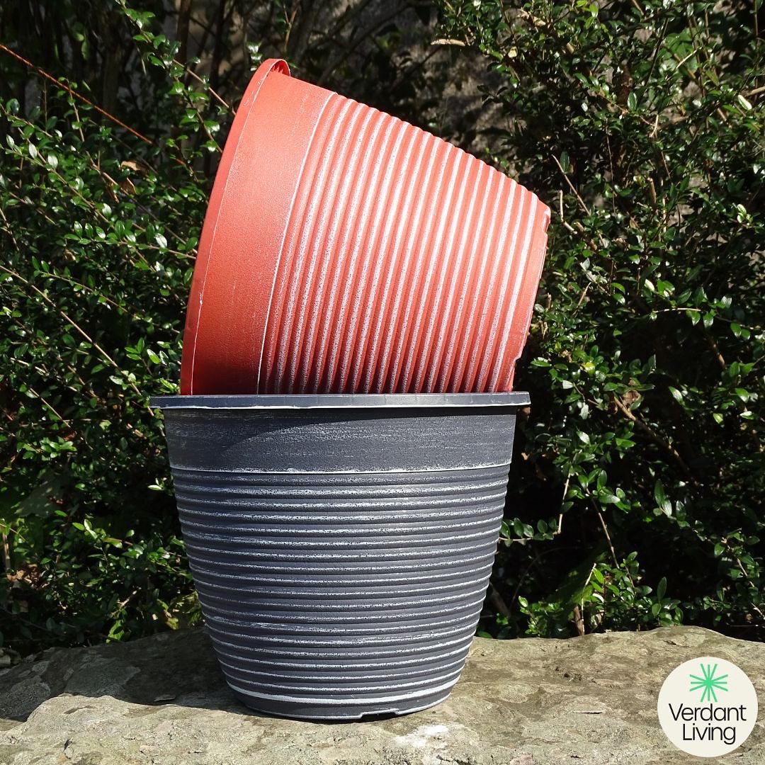 VerdantLivingUK's tweet photo. Take a look at our Maine collection, the collection consists of planters, bowls, and hanging baskets!🪴 

#Amazon #VerdantLiving #garden #VerdantLife #flowers #plants #Planters #gardenlife #ColourPots #foryoupage #sustainable #newcollection #gardendesign #Amazonfinds #gardener https://t.co/Jw55z8Xivz