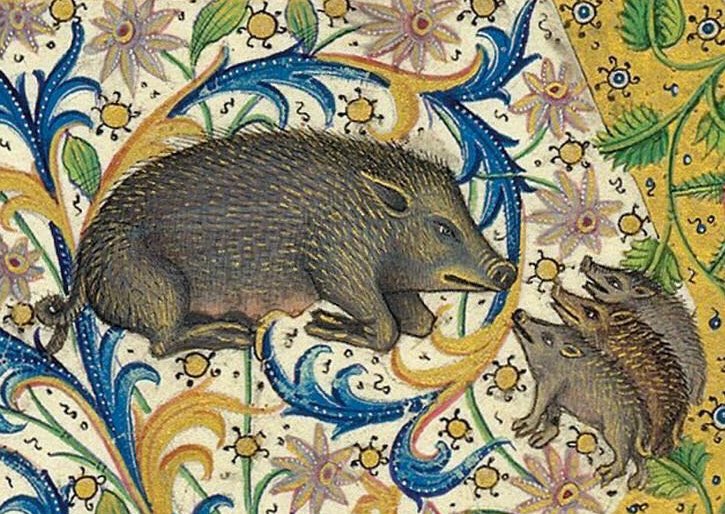 boar family, france, 14th century
