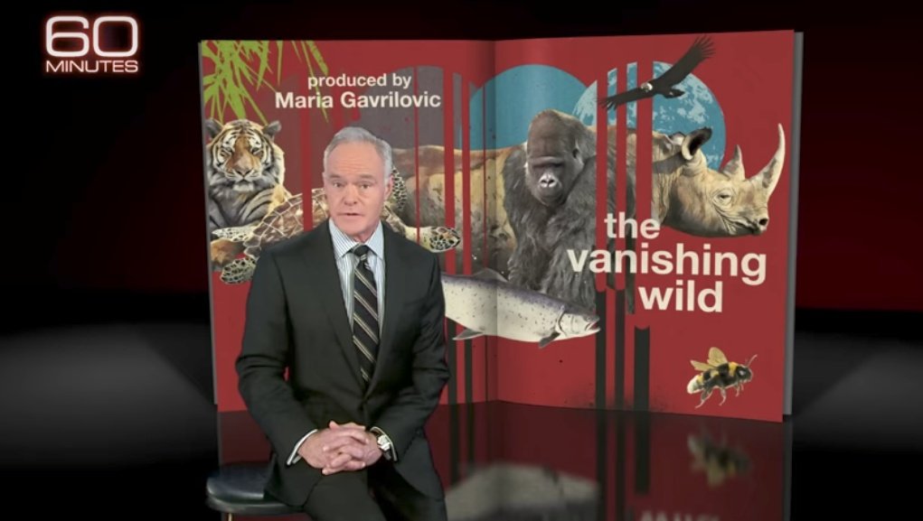 k_ripTopCity's tweet image. #massextinction #climatechanged #globalendangerement #climatecrisis
youtu.be/6TqhcZsxrPA