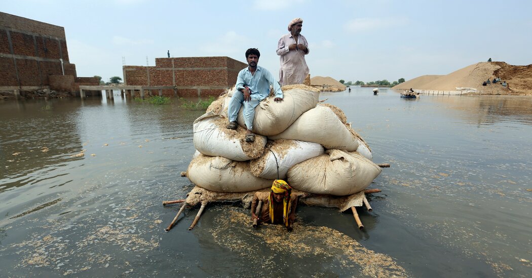 WorldClimateCN's tweet photo. Un punto de inflexión para el cambio climático

https://t.co/cbsQBoIlQM

#noticias #cambioClimatico #news #globalwarming #ecology #environmentalchallenges #SocialJustice #ClimateChange https://t.co/2iBxlmi6w8