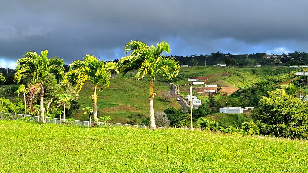 sandra2543's tweet photo. La oficina de hoy. #65grados #Orocovis #CorazónDePuertoRico https://t.co/wOLMtqIoO9