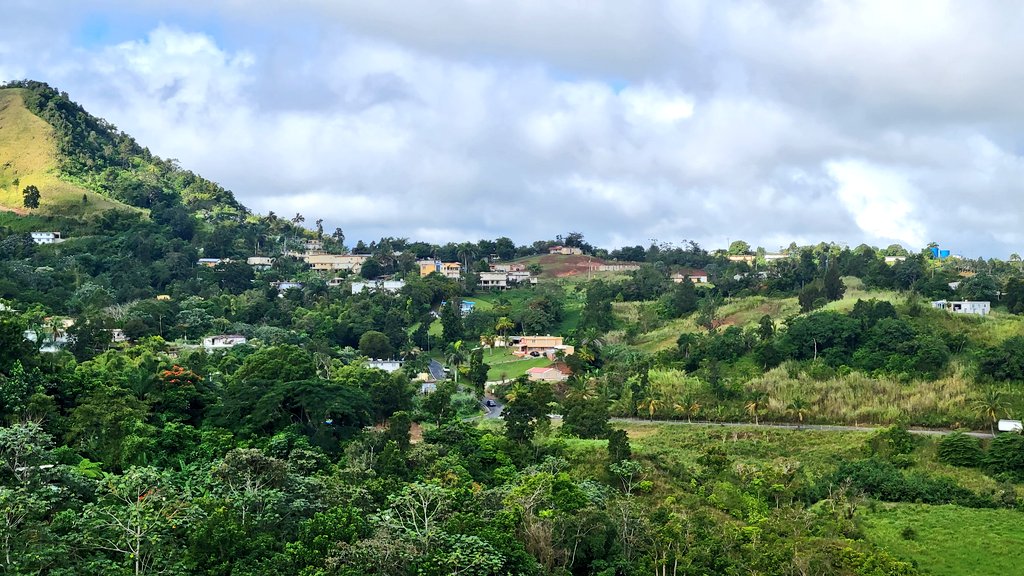 sandra2543's tweet photo. La oficina de hoy. #65grados #Orocovis #CorazónDePuertoRico https://t.co/wOLMtqIoO9