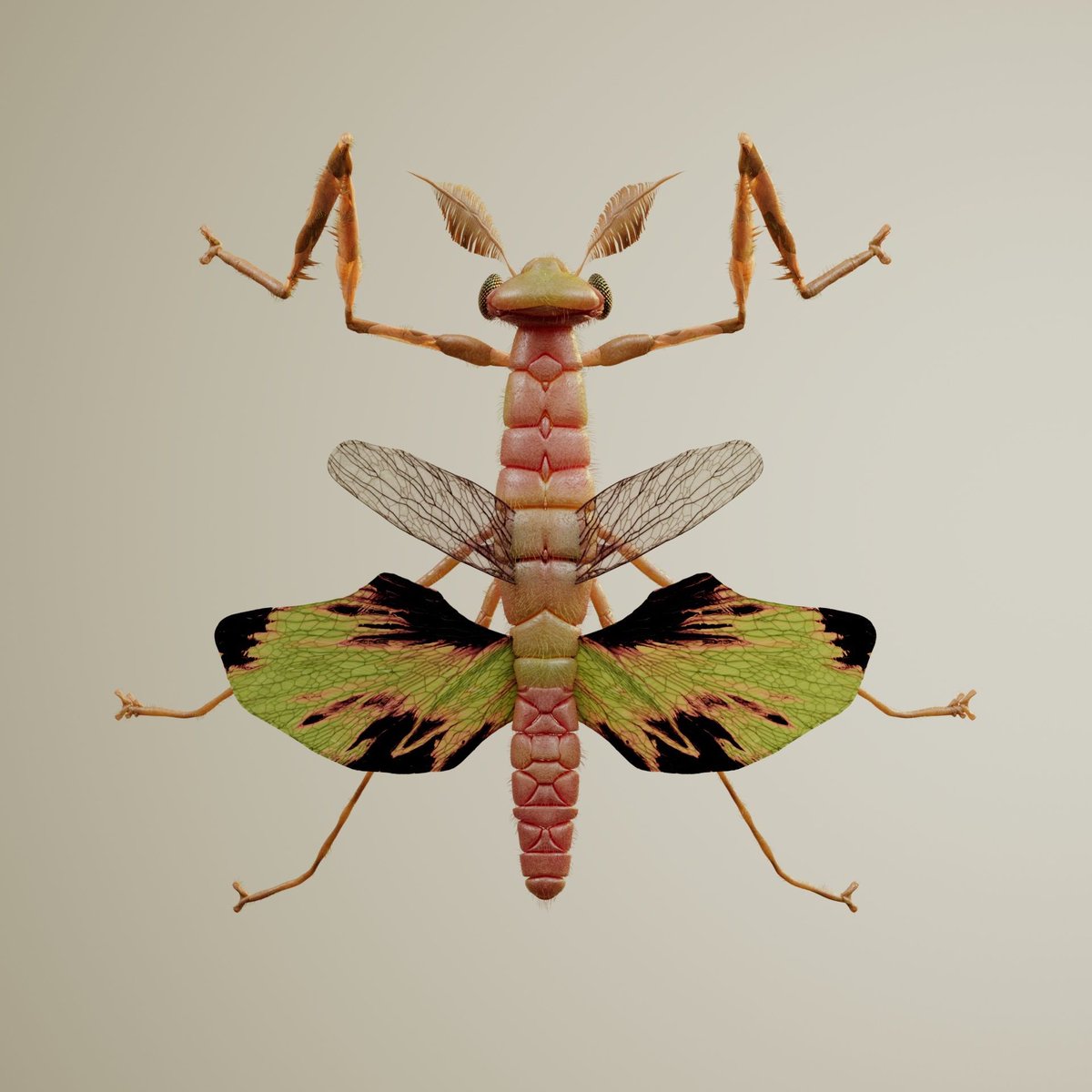 Be prepared 👀

CHRYSALISM DNA 🧬 will be your ticket to a new dimension.

EVOLVE WITH US 🐛🪲

02|02|2023 on <a href="/opensea/">OpenSea</a> 

#wearechrysalism