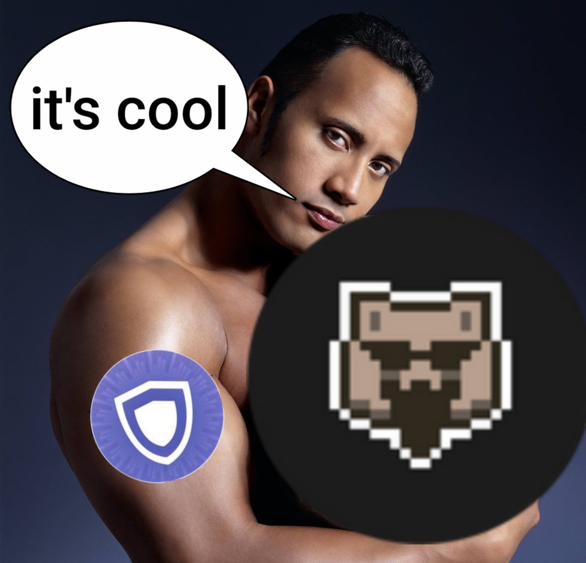 CryptoVikinggs's tweet photo. @WombexFinance @GuardaWallet #WombexFinance 
@GuardaWallet 

My meme: https://t.co/e5k5VfmZQM