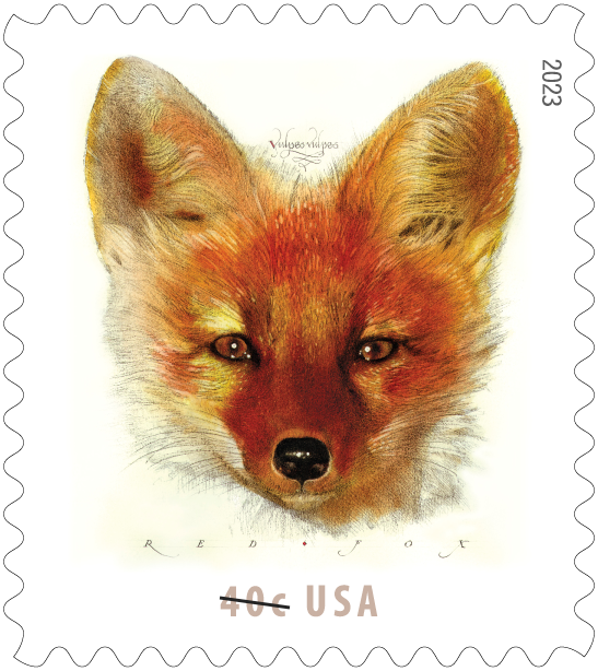 phftucson's tweet photo. Happy New year! The USPS is starting 2023 with these two stamps, issued Thursday the 5th. The fox is 40c and is used for bulk mailers, or for fun! The school bus is used when you need to pay for an additional ounce. We anticipate the kids will love these! #philately #phftucson https://t.co/MIvjrtTAEW