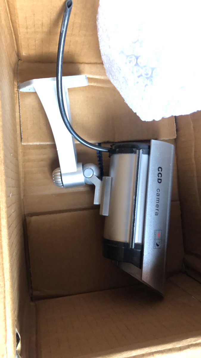 Rubina Dadwal tweet media