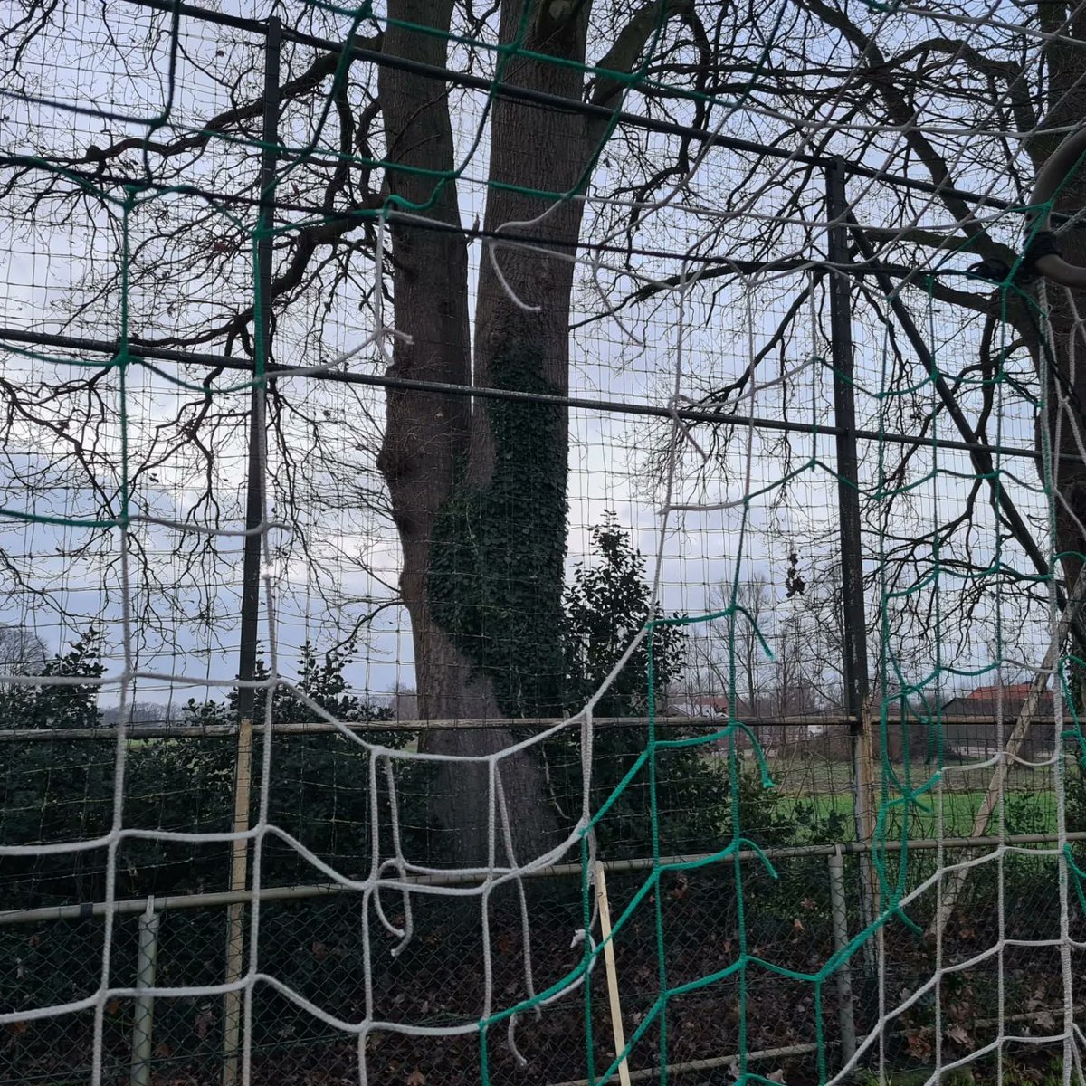 EGVV_Gelselaar's tweet photo. Helaas hebben enkele hardwerkende vrijwilligers vandaag ontdekt dat er vernielingen zijn aangericht op De Benneker. Van minimaal 7 doelen en een ballenvanger lijken de netten doelbewust kapot gesneden te zijn. Is er iemand die iets gezien heeft meldt het dan aan het bestuur. https://t.co/mzhE25Y0QZ