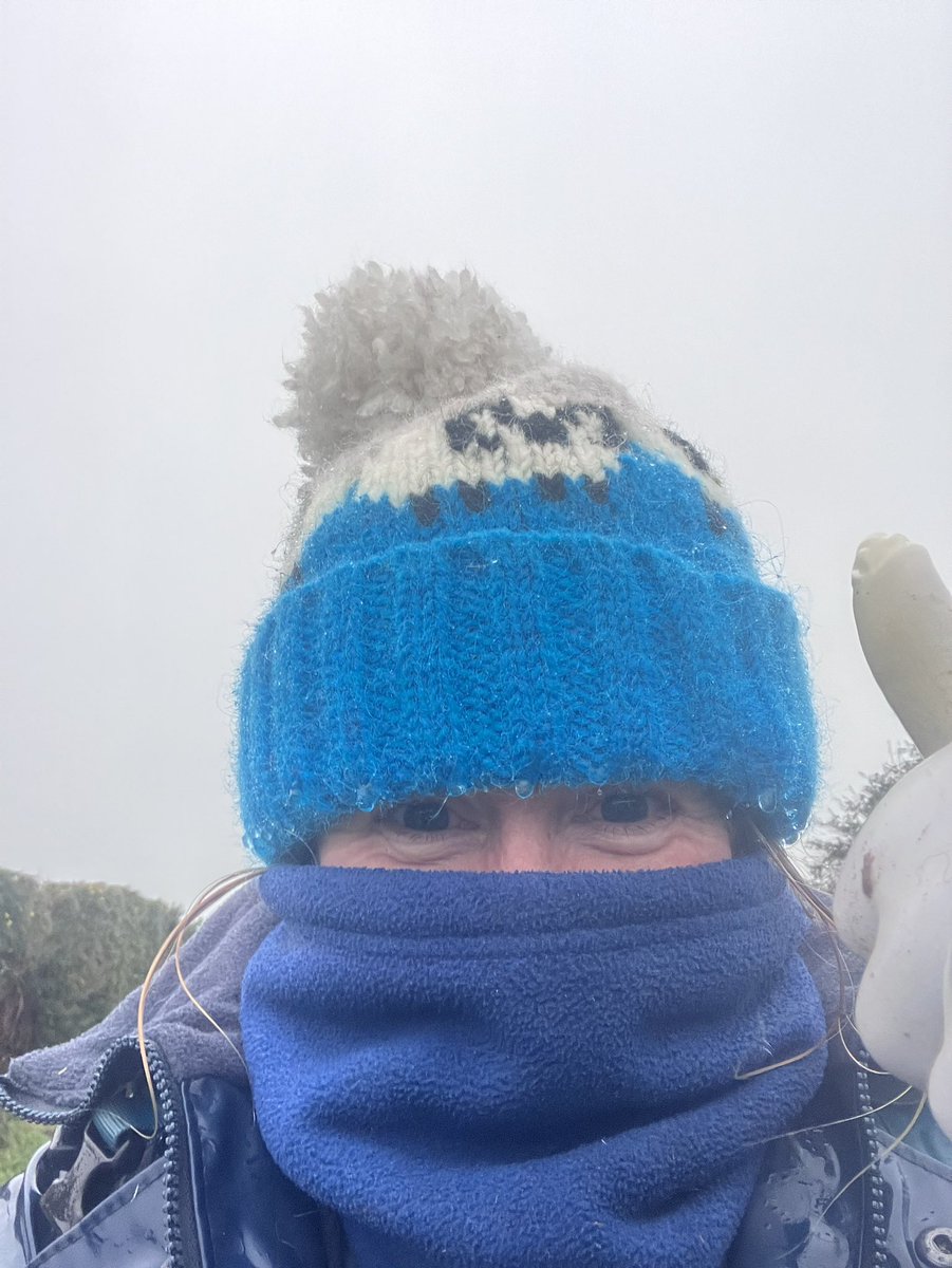ManxShepherdess's tweet photo. Normal weather resumed today
#isleofman #stillraining #somuchmud https://t.co/fXkfIj1Ylw