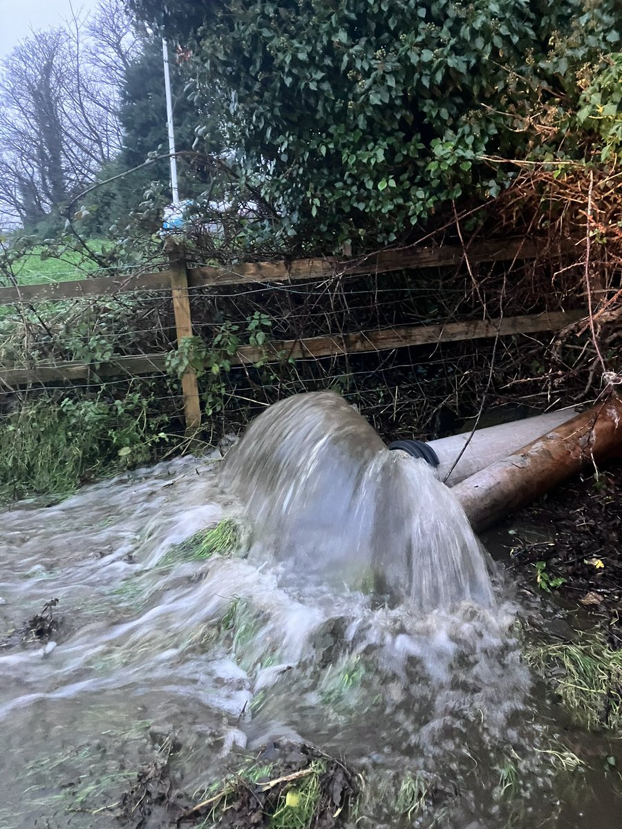 ManxShepherdess's tweet photo. Normal weather resumed today
#isleofman #stillraining #somuchmud https://t.co/fXkfIj1Ylw