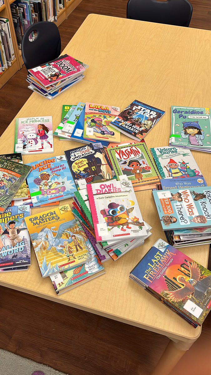 msgolas's tweet photo. Lots of new books to start #2023 in the @brimmerandmay LS Library! https://t.co/FSpndBqv8b