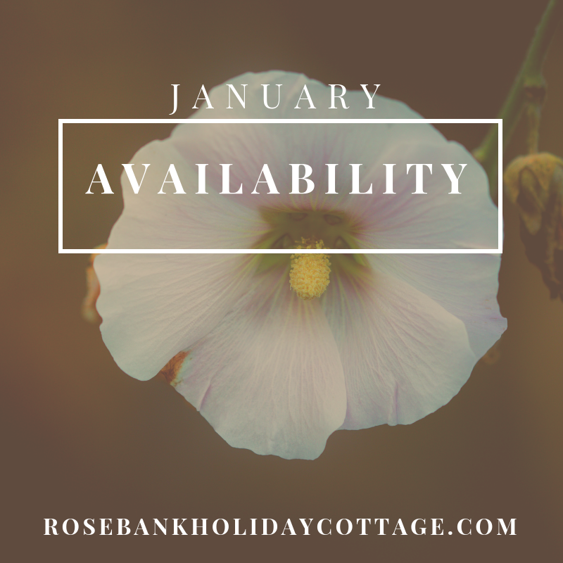 FODholidaycott's tweet photo. ✨LATE AVAILABILITY✨
We have a few last minute dates available for January. Select your dates on our availability calendar...
https://t.co/ZpjkSGBWhP
#cosycottage #selfcateringcottage #deanwye #forestofdean https://t.co/tEoi9bZ47Z
