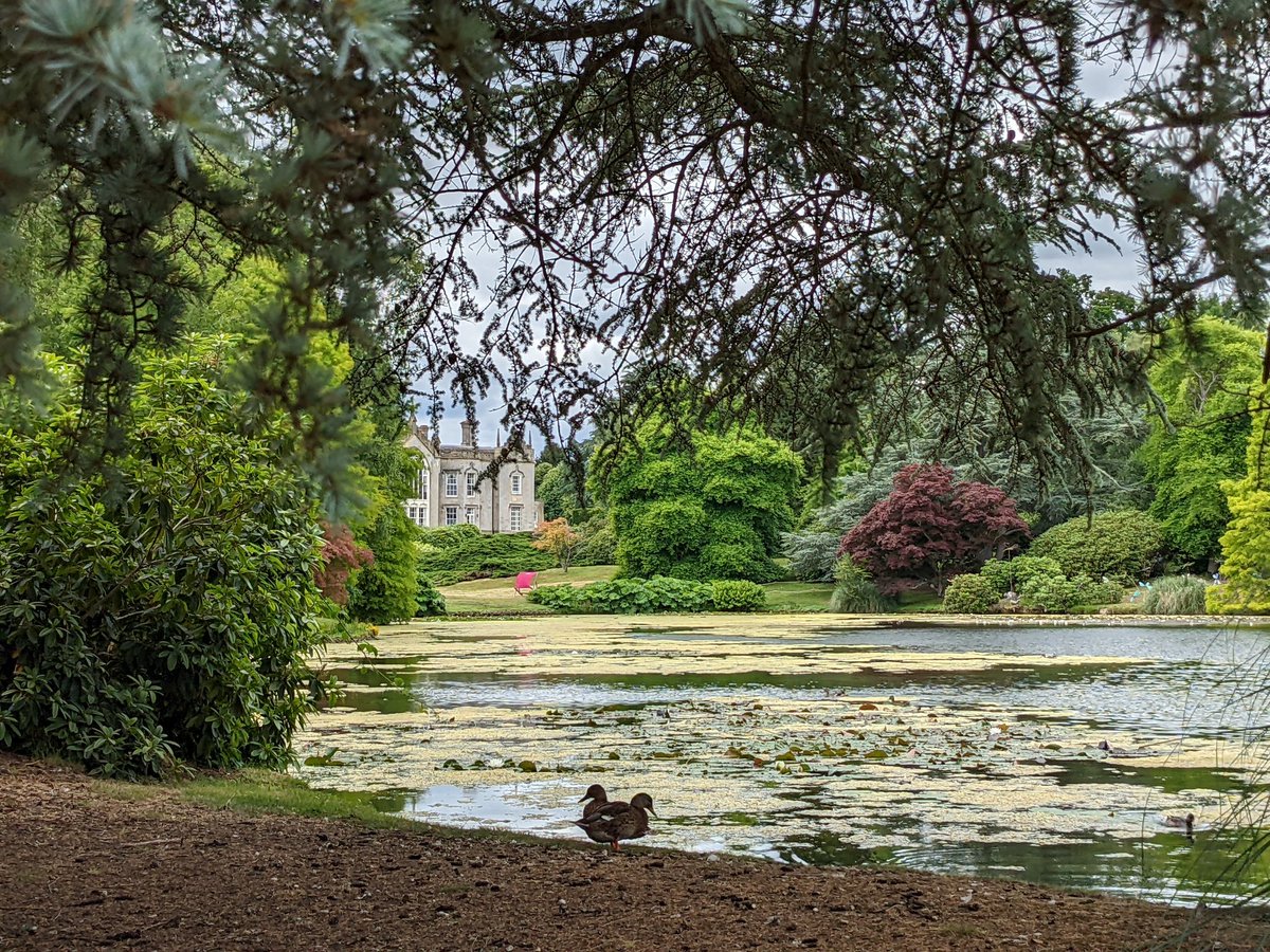 MandyBroughton6's tweet photo. @nationaltrust A 'push me pull you' duck? https://t.co/EFJVRqSAji